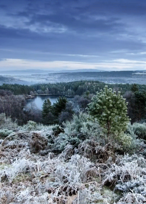 19 Songs That Will Make You Feel Like You're Outdoors