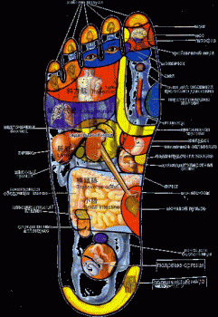 Китайская медицина. Атлас активных точек.  Лечебный самомассаж.
