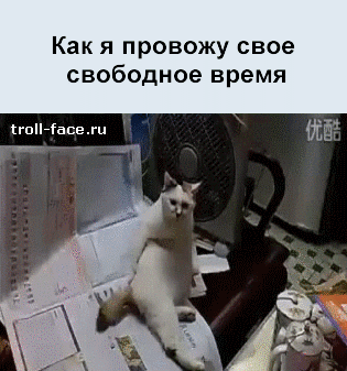 gifkah-situacii-zhiznennye-zhiznenno-komiks