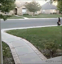 Шутки на Хэллоуин (20 фото)