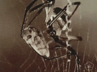 Гифка оккультный, паук, механизм,  gif картинки, цифровые гуманитарные науки, отрывок, наука, инженер, винтажный, ретро,  гиф анимация скачать бесплатно животные, open knowledge, 1956, moody institute of science 