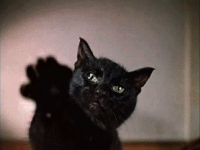 Черная кошка