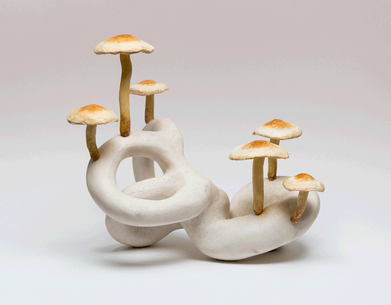 hamish-pearch-cochlea-brick-tuft-courtesy-of-the-artist.gif hamish-pearch-cochlea-brick-tuft-courtesy-of-the-artist.gif