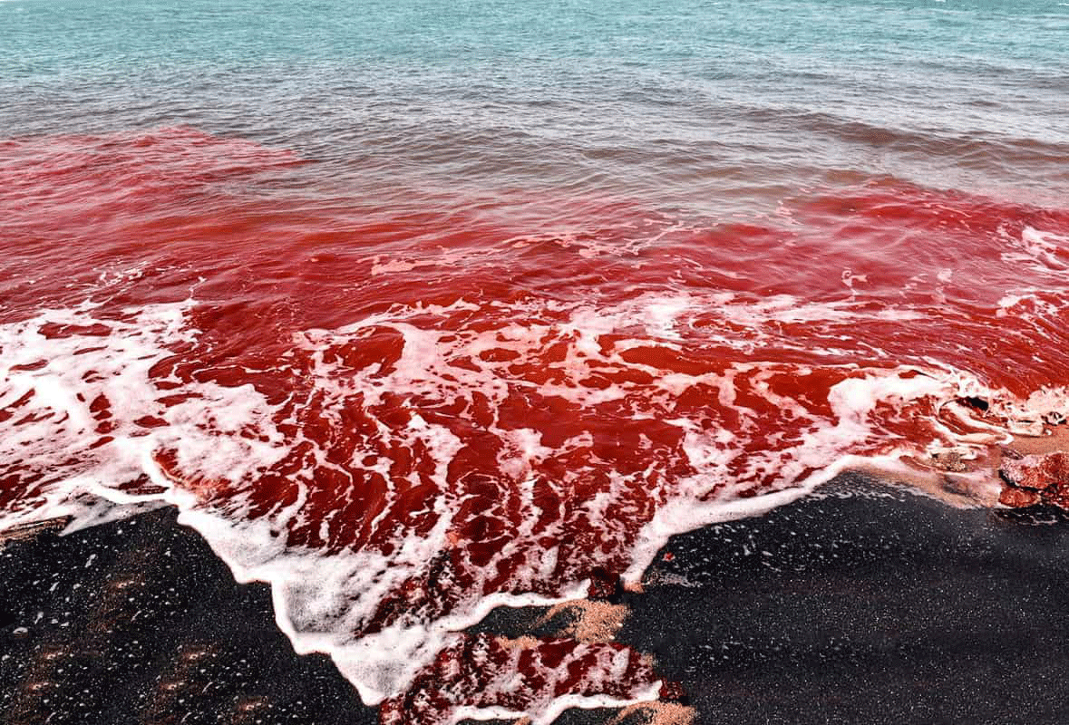 Следы в красном море. Ормуз Иран Кровавый пляж. Красный пляж острова Ормуз, Иран.. Омруз остров Иран. Остров Ормуз красный пляж.