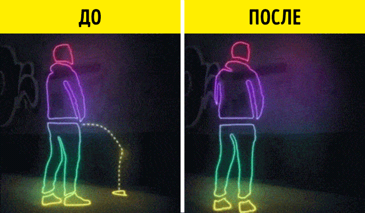 12 фактов, которые вас невероятно удивят
