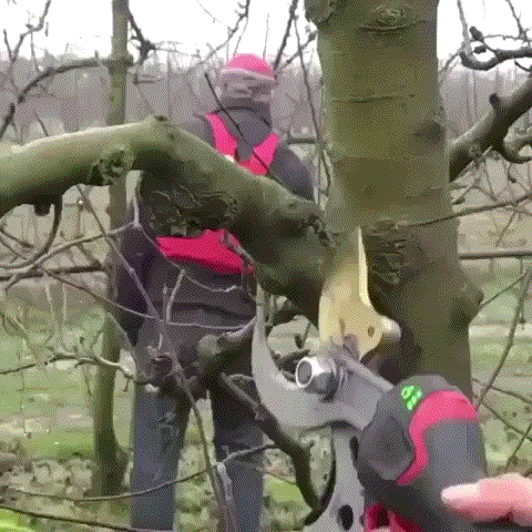 Как по маслу Как по маслу