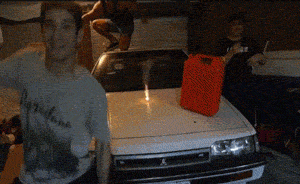 Возможные номинанты на премию Дарвина (30 гифок)