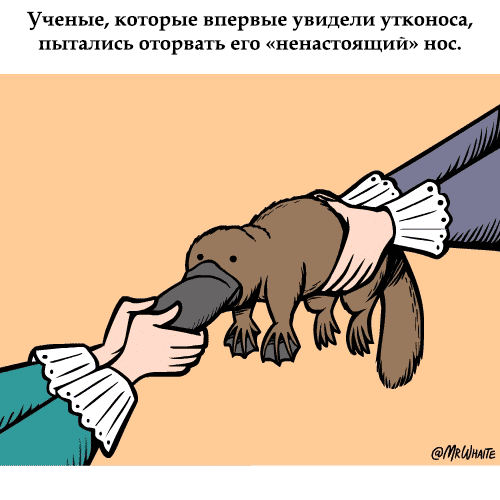 gifkah-zoologiya-zanimatelnaya-eto-interesno-poznavatelno-kartinki gifkah-zoologiya-zanimatelnaya-eto-interesno-poznavatelno-kartinki