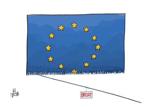 g_laufmascheeubunt.gif
