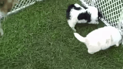 Классные гифки (25 гифок) Классные гифки (25 гифок)