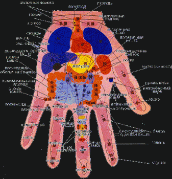 Китайская медицина. Атлас активных точек.  Лечебный самомассаж.
