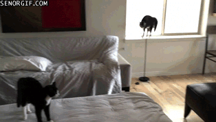 Классные гифки (25 гифок) Классные гифки (25 гифок)