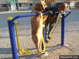 Анимированные приколы. Смотрим и отдыхаем!