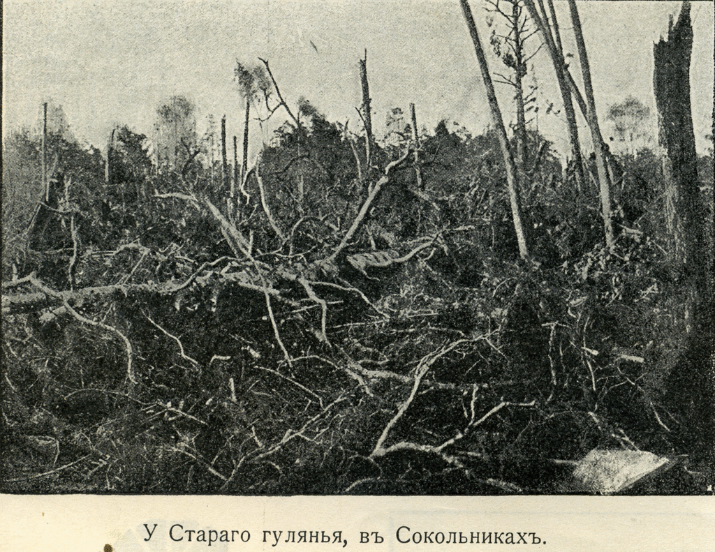 20561 Ураган 1904 года. Старое гулянье в Сокольниках.jpg