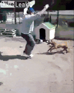 Это же Карма, детка!