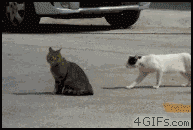 clip_image007