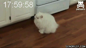анимация, гифки