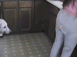 Анимированные розыгрыши