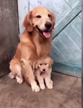Не смотри Не смотри
