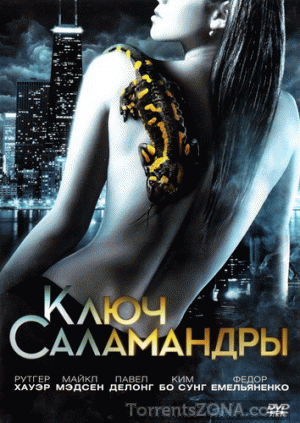 Ключ Саламандры (2011) DVDRip | лицензия
