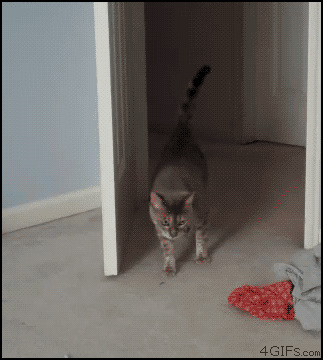 clip_image002