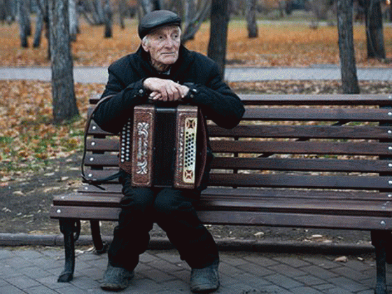 Дедушка играет на улицах Новосибирска, чтобы собрать деньги на лечение собаки животные, лечение, новосибирск, пенсионер, собака