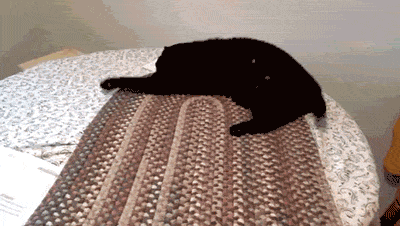 Кошачьи обломы в анимациях