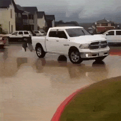 Возможные номинанты на премию Дарвина (30 гифок)