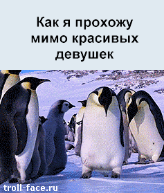 Подборка прикольных Гифок №715 (15 гифок)