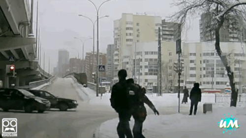 Невероятные везунчики (20 гифок)
