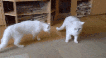Hosted by imgur.com Кототерапия. Продолжение