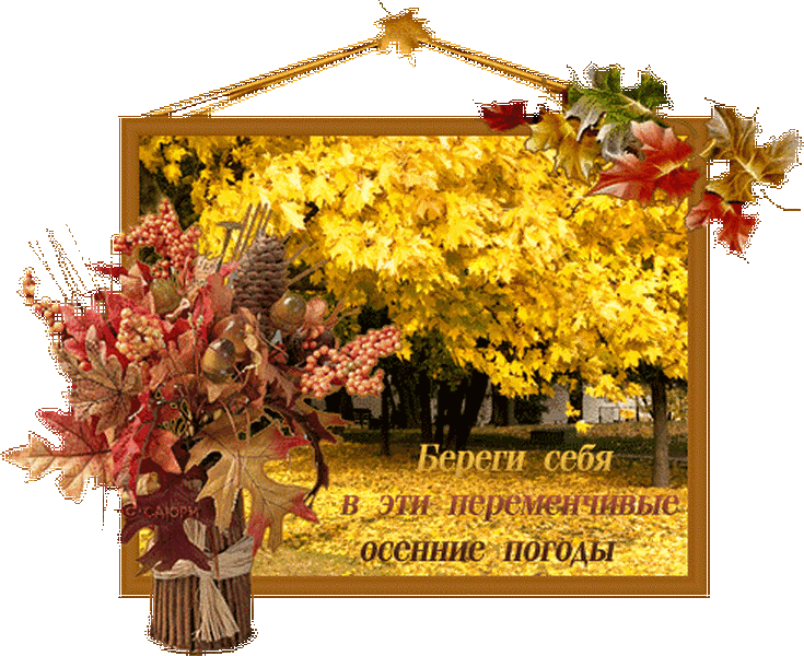 Доброго дня ноября. Осенние открытки. Красивые осенние открытки. Осенние открытки с пожеланиями. Здоровья и отличного настроения осенние.