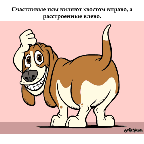 gifkah-zoologiya-zanimatelnaya-eto-interesno-poznavatelno-kartinki gifkah-zoologiya-zanimatelnaya-eto-interesno-poznavatelno-kartinki