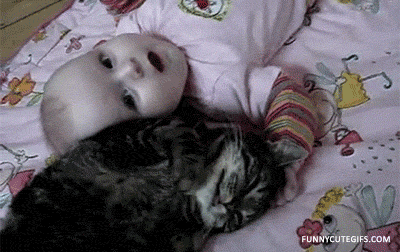 коты, позитив, добро, животные, дети
