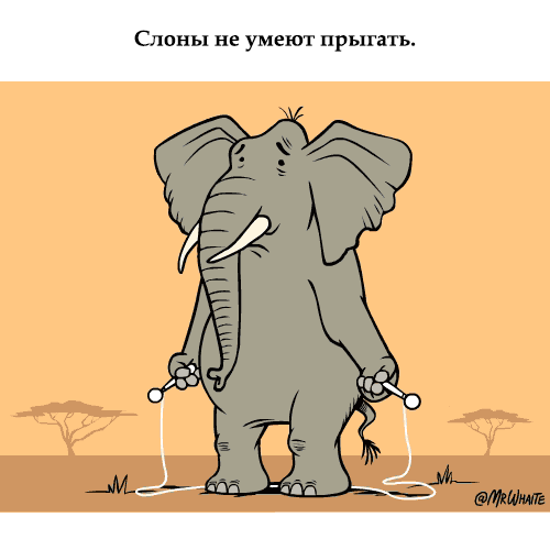 Занимательная зоология