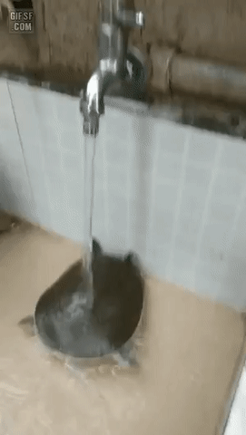 Ну наxep Ну наxep