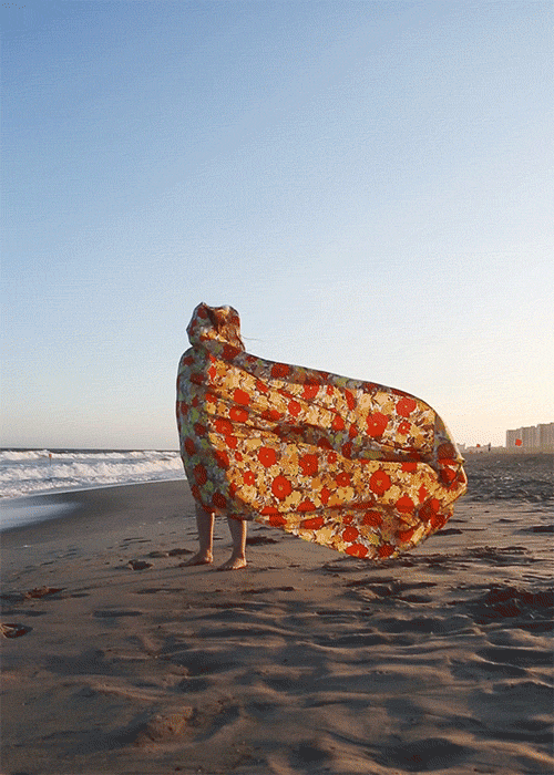 romain-7.gif romain-7.gif