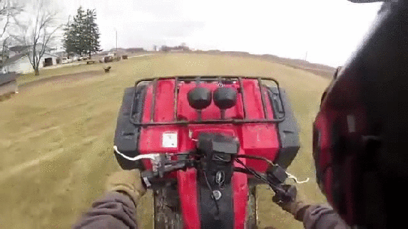 Прикольные гифки